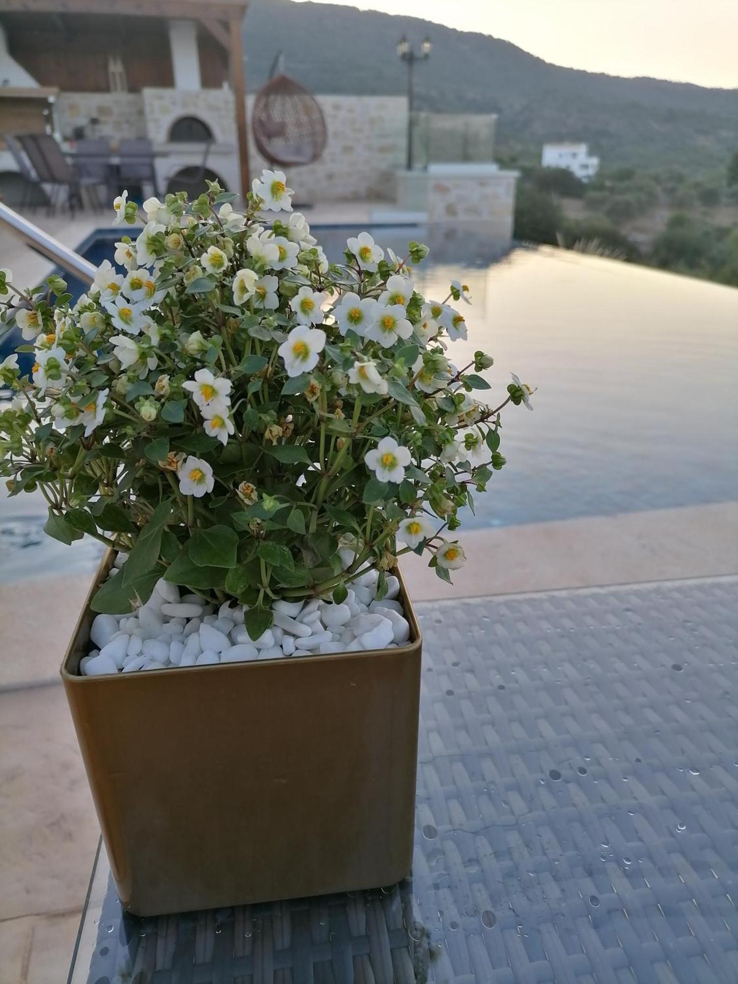 Villa Halepouri Chania  Zewnętrze zdjęcie